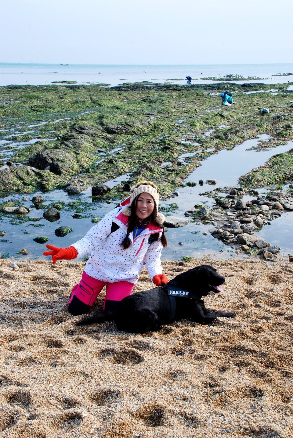 mmexport1547908010596