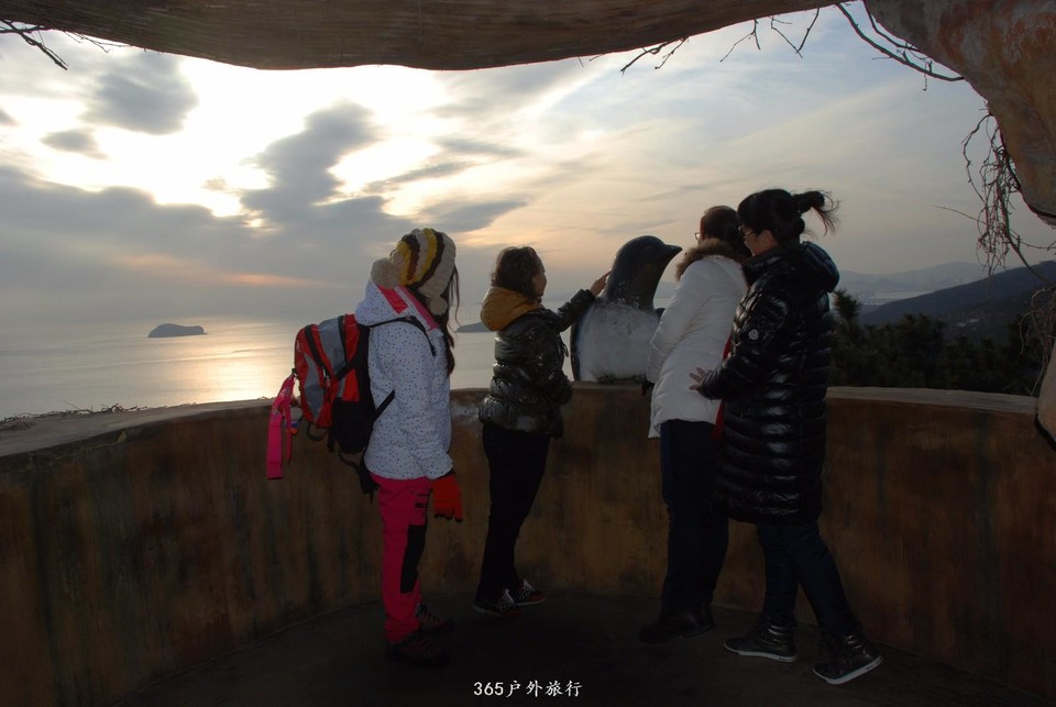 mmexport1547908144224