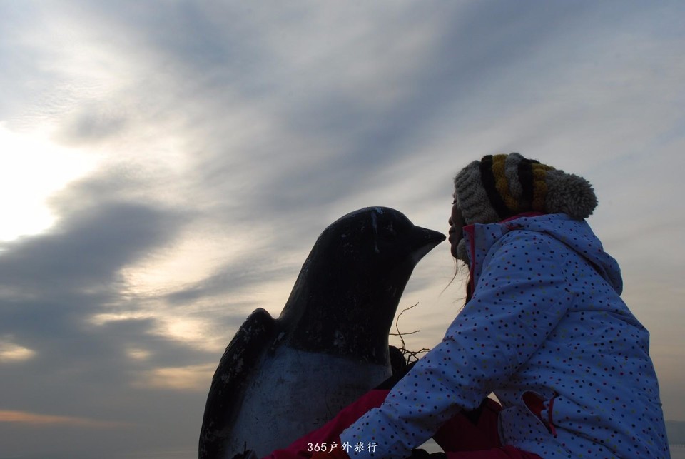 mmexport1547908195929