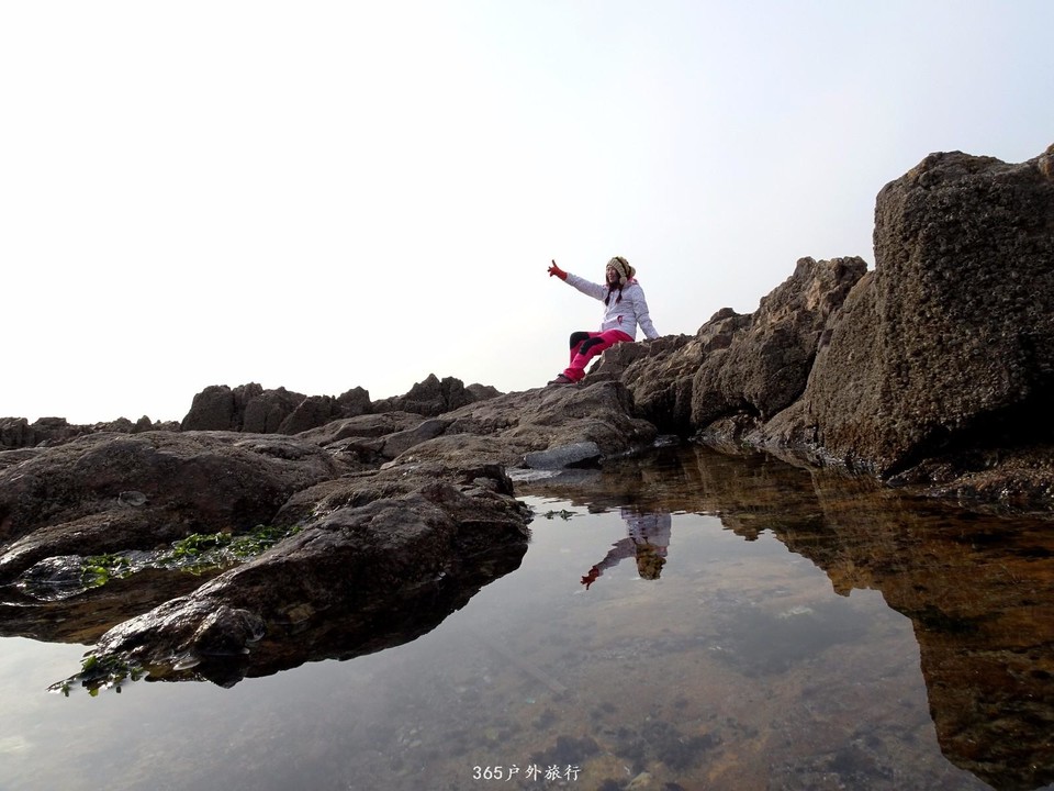 mmexport1547908343952