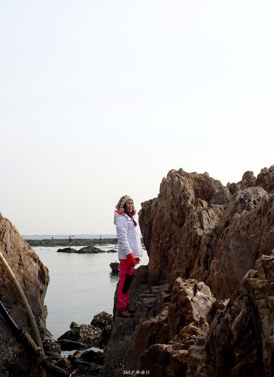 mmexport1547908412268