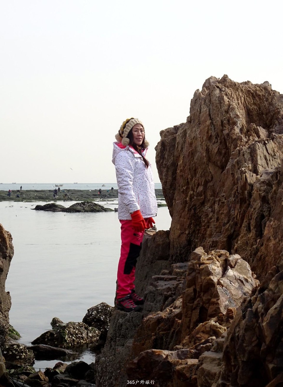 mmexport1547908426809