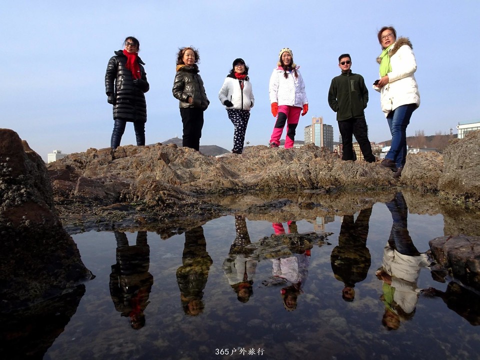 mmexport1547908476041