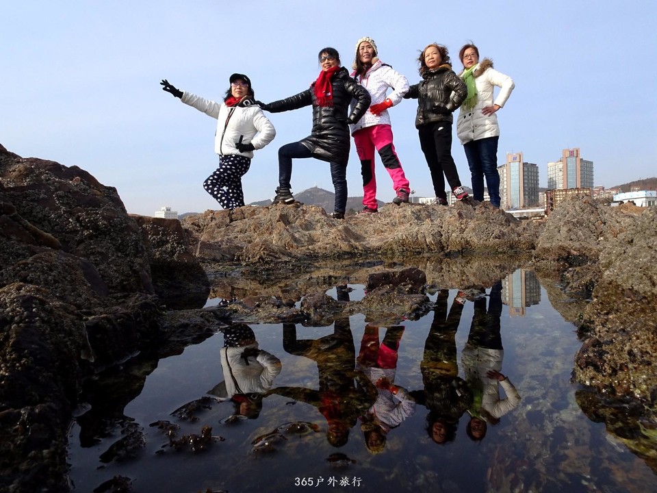 mmexport1547908497921