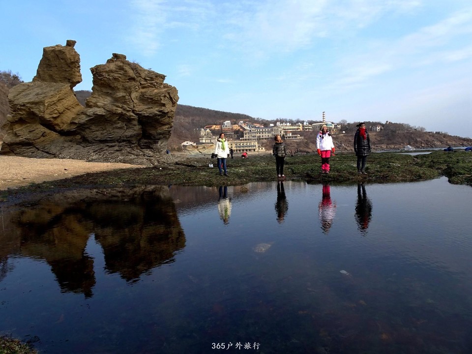 mmexport1547908681995