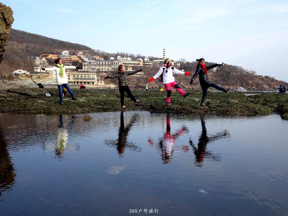 mmexport1547908694738