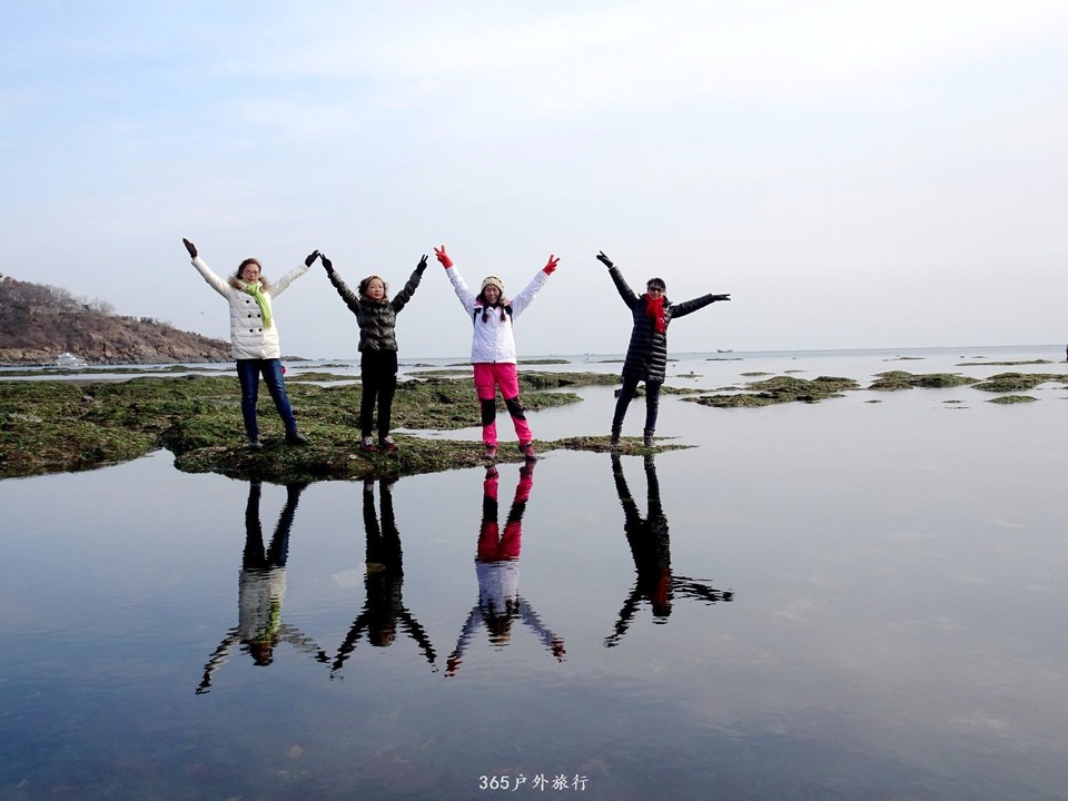 mmexport1547908737557