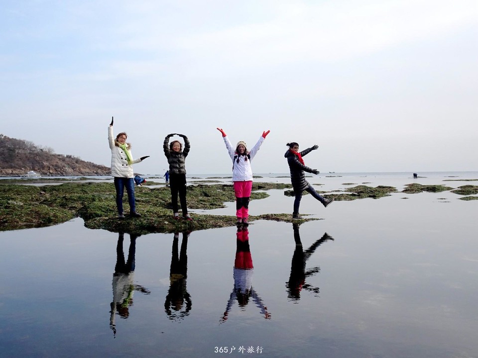 mmexport1547908750449