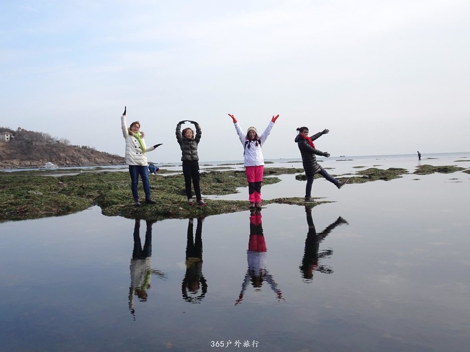 mmexport1547908767224