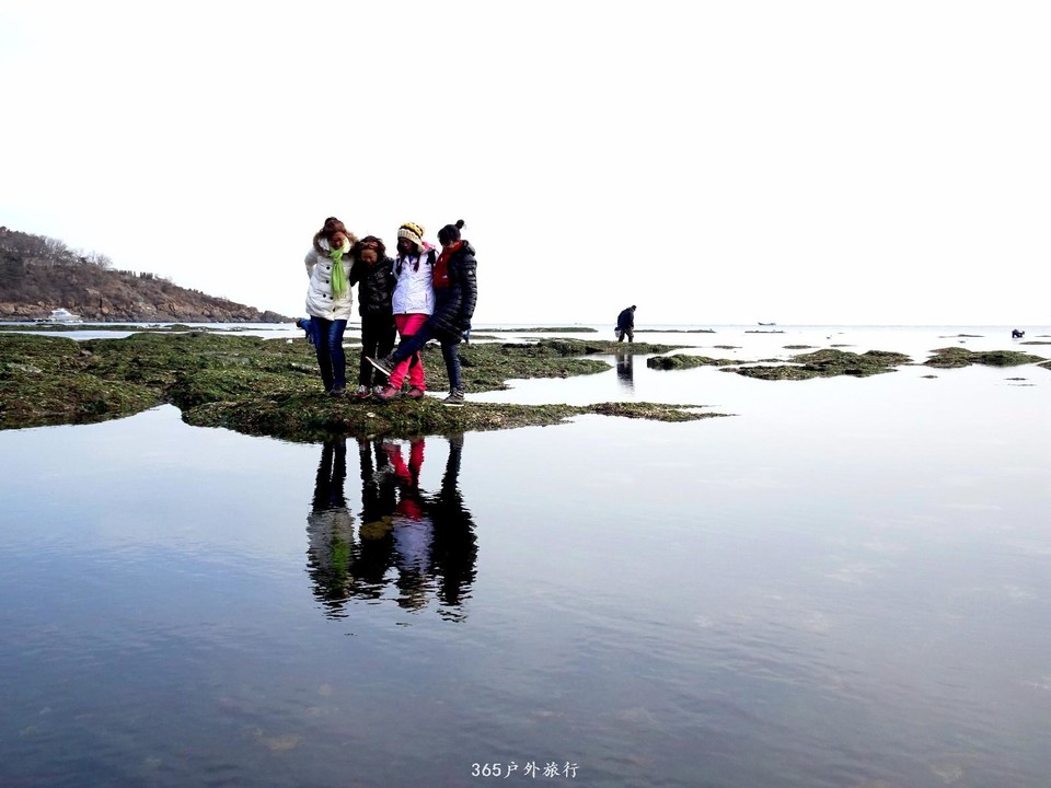 mmexport1547908818900