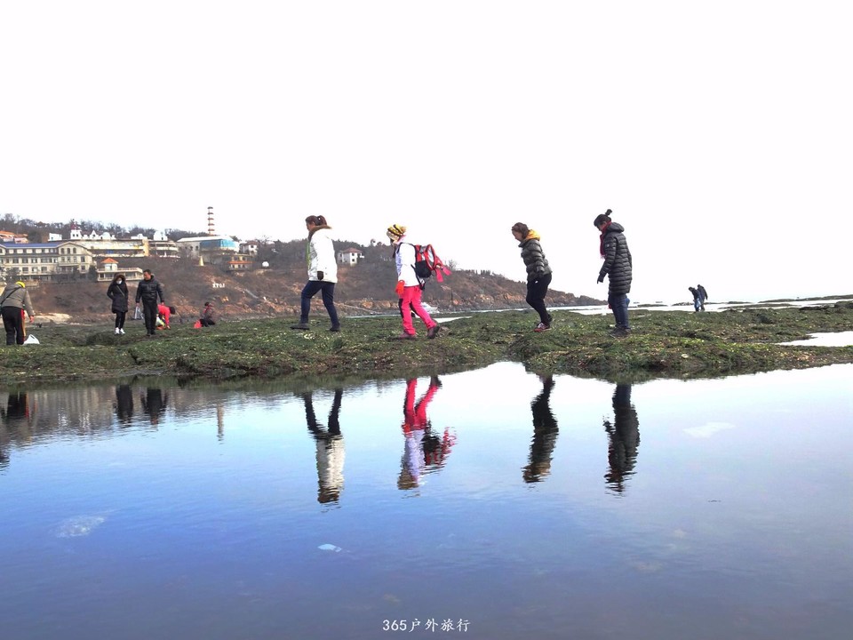 mmexport1547908851058