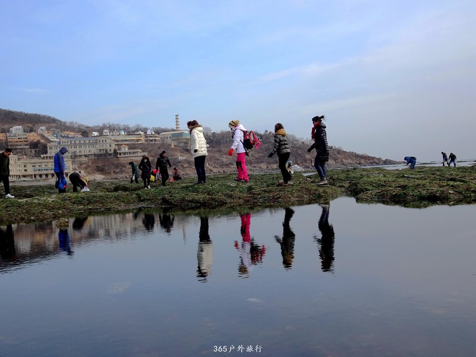 mmexport1547908867557