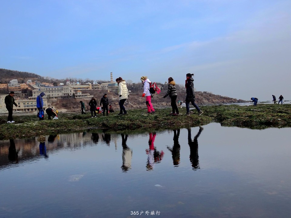 mmexport1547908881619