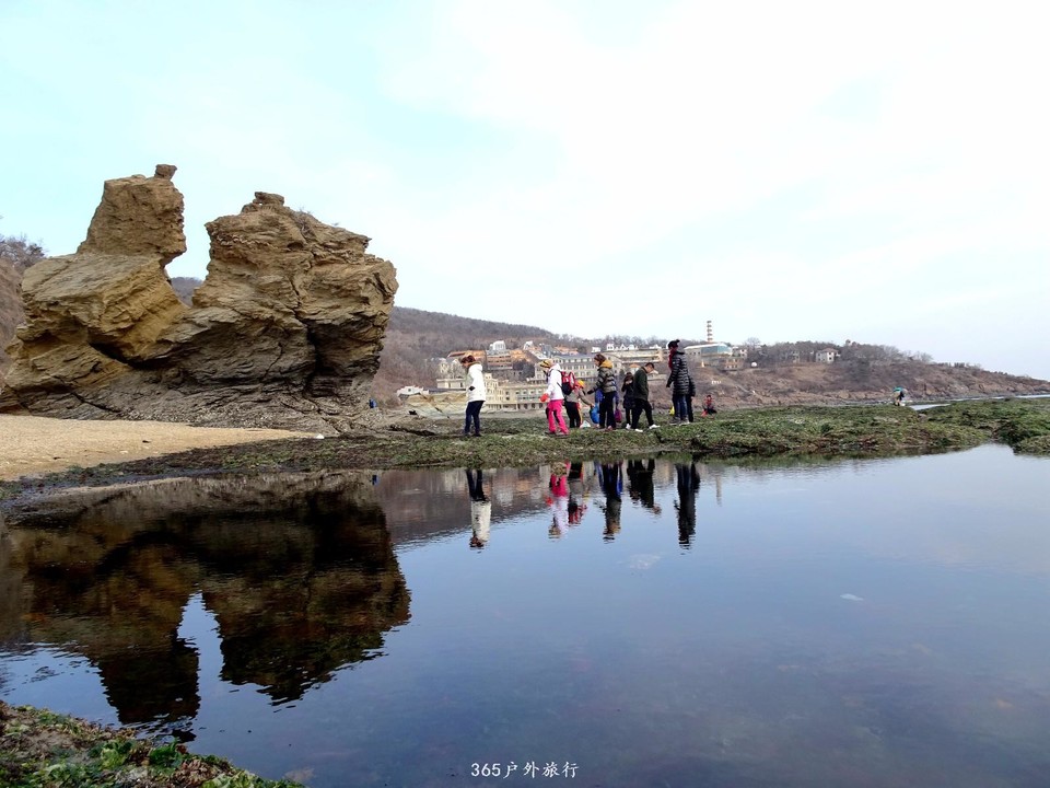 mmexport1547908909800