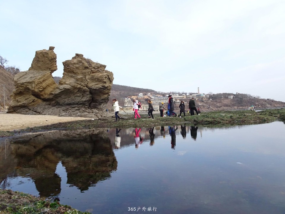 mmexport1547908920082