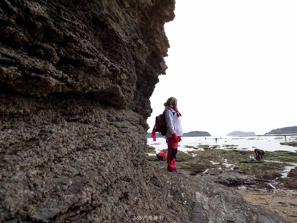 mmexport1547908994067