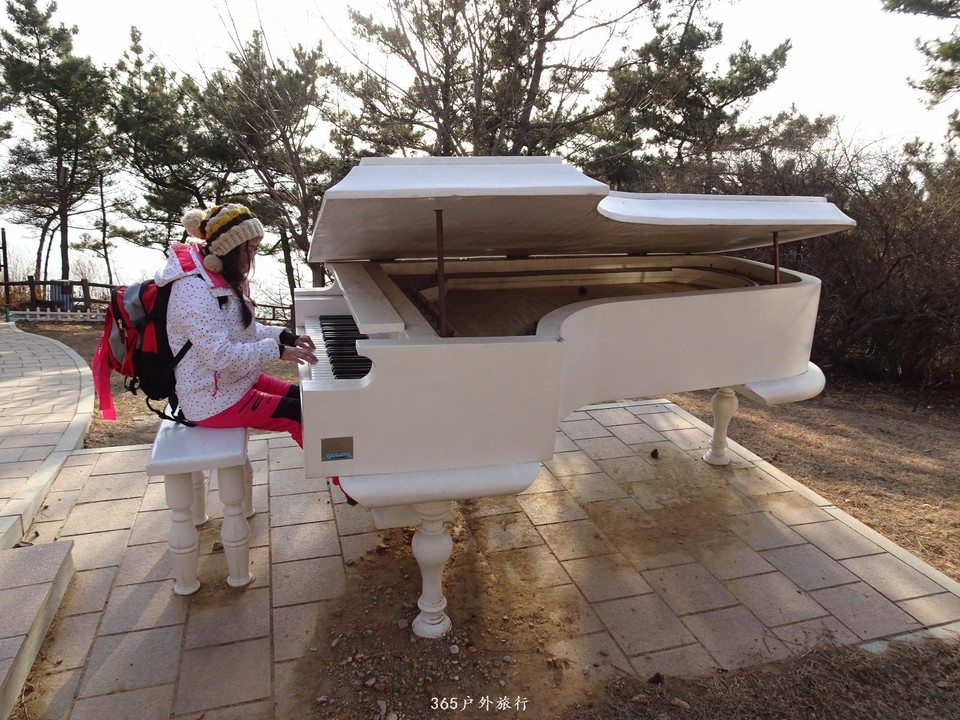 mmexport1547938213520