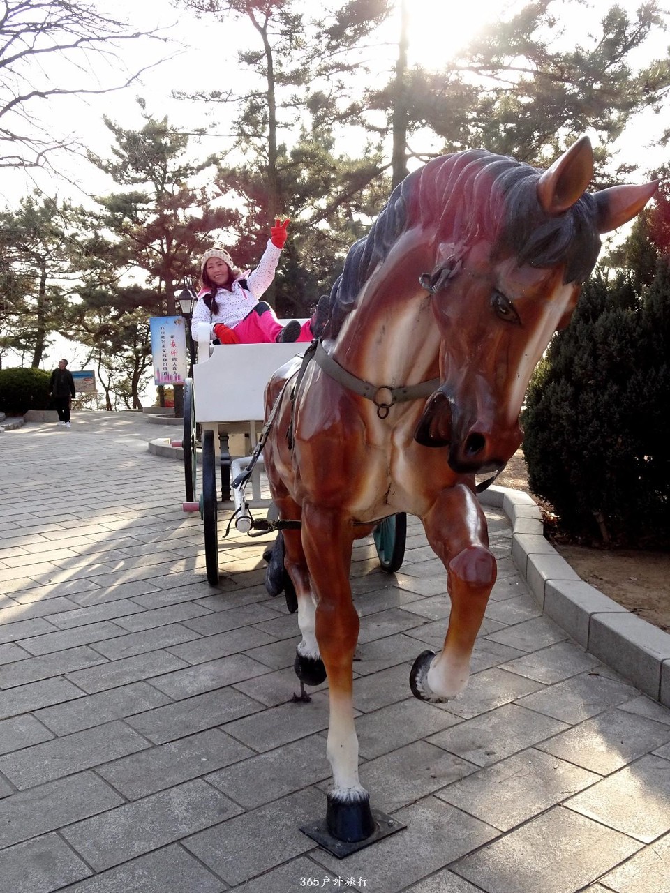 mmexport1547909017738