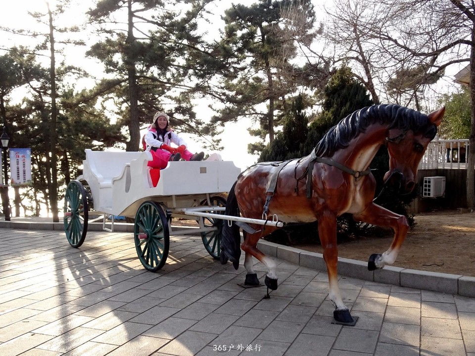 mmexport1547909042381