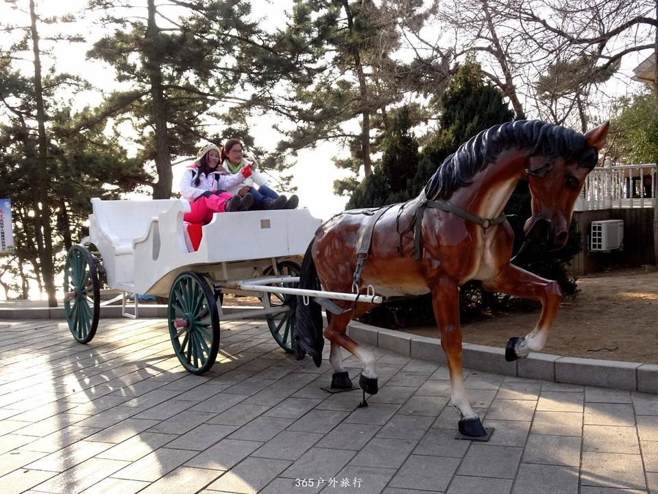 mmexport1547909081643