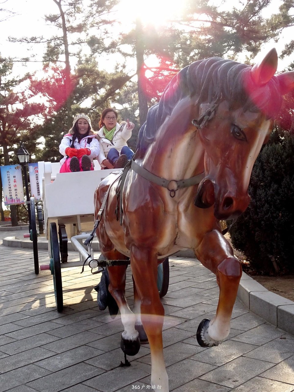 mmexport1547909097697