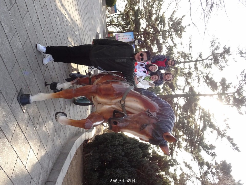 mmexport1547909127502