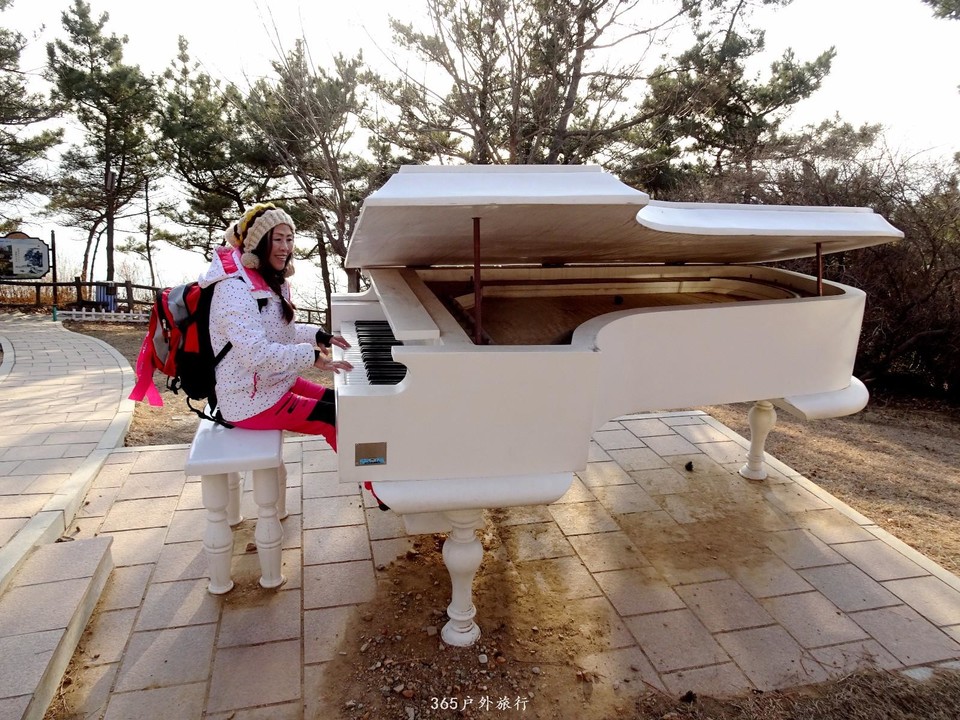 mmexport1547909172828