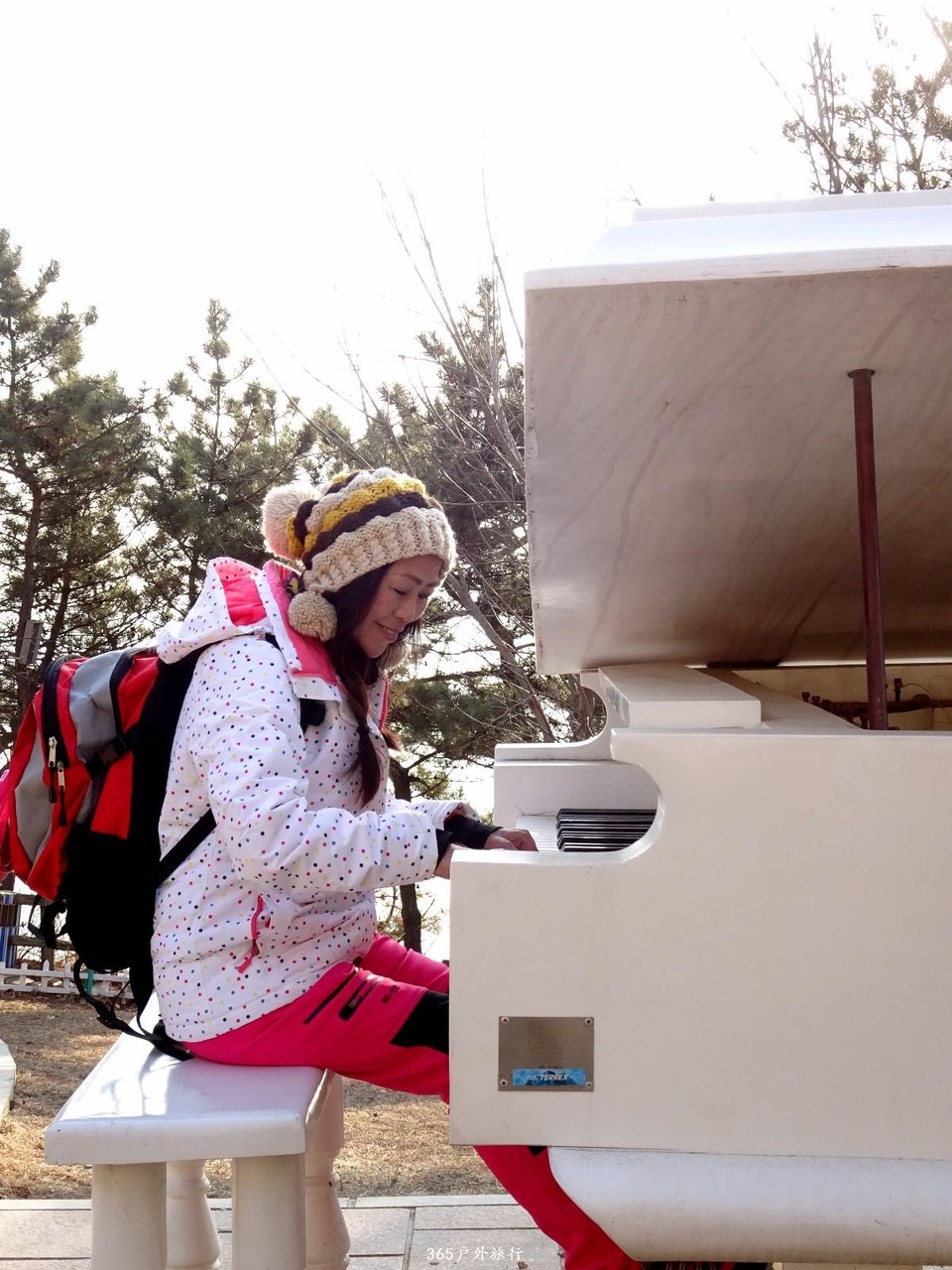 mmexport1547909198402