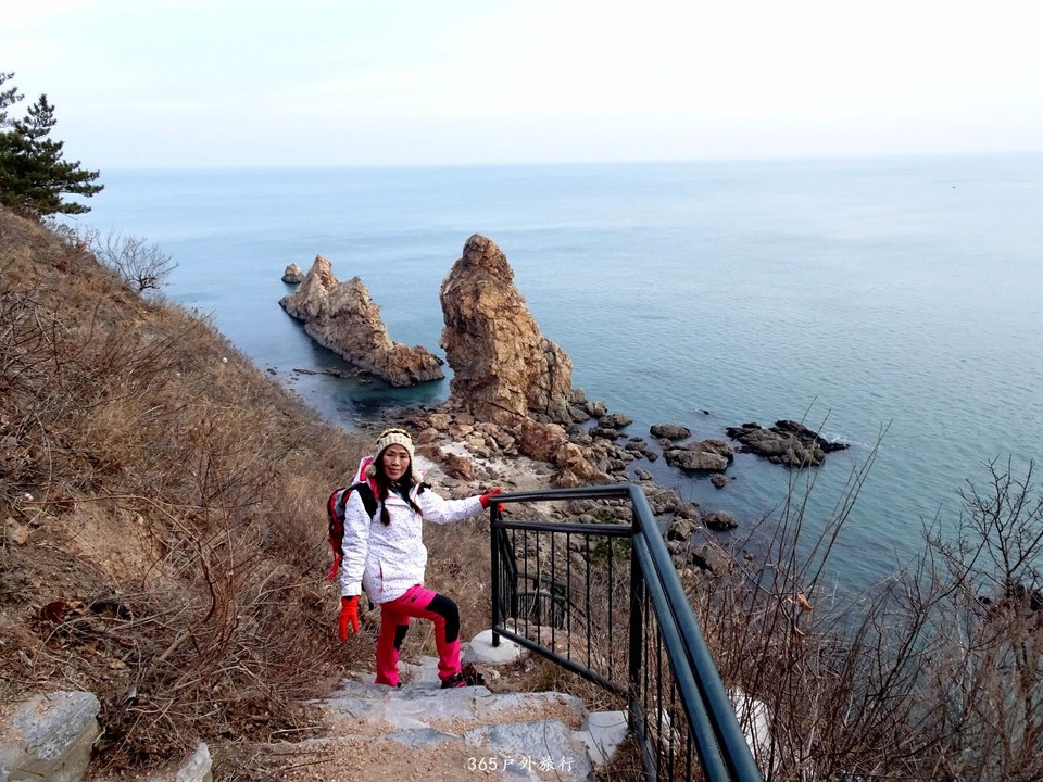 mmexport1547909440267