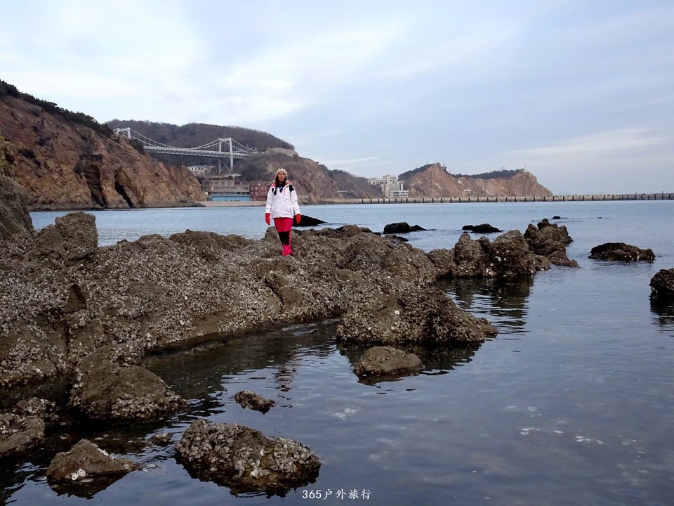 mmexport1547909466135