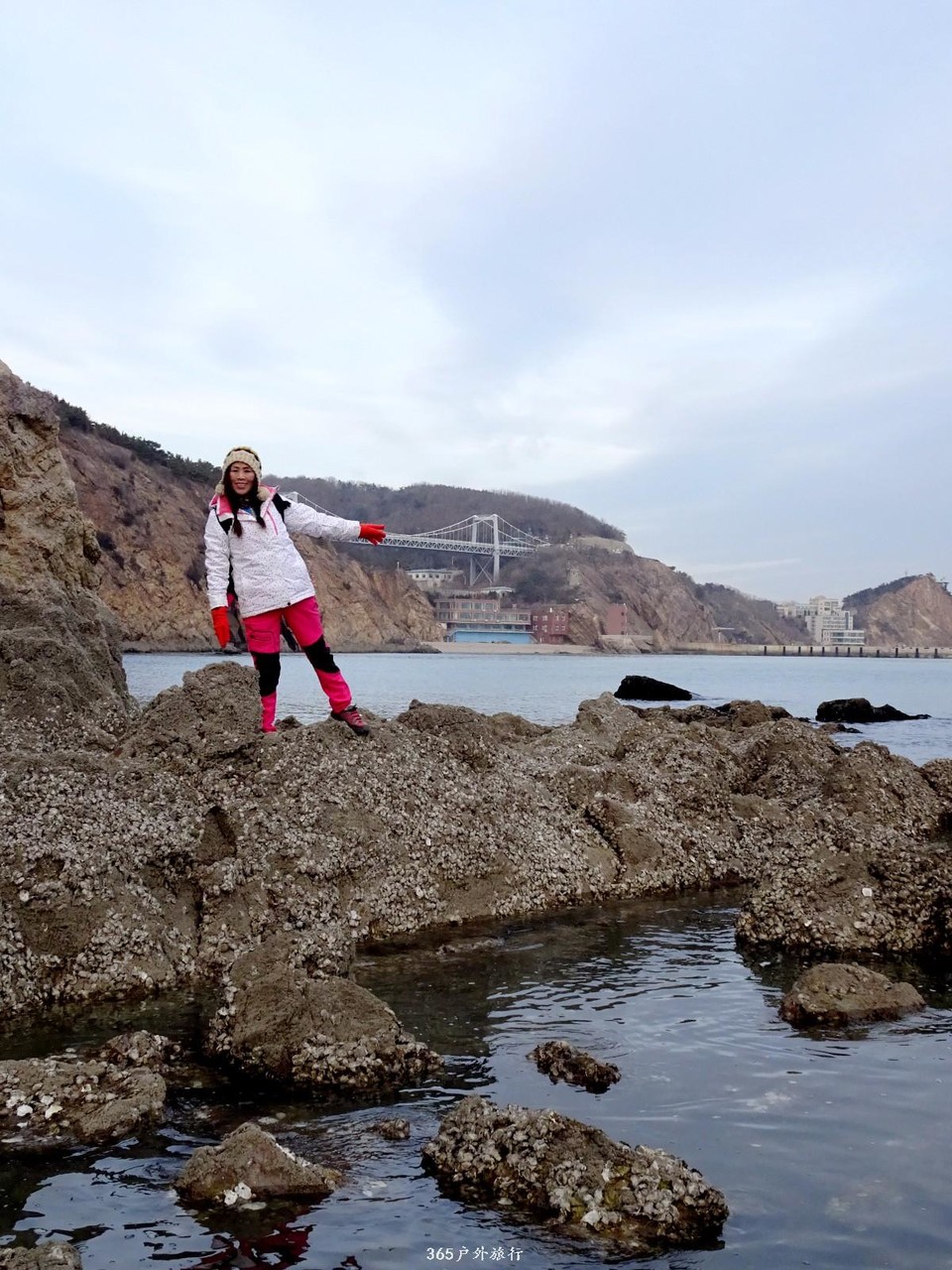 mmexport1547909484768