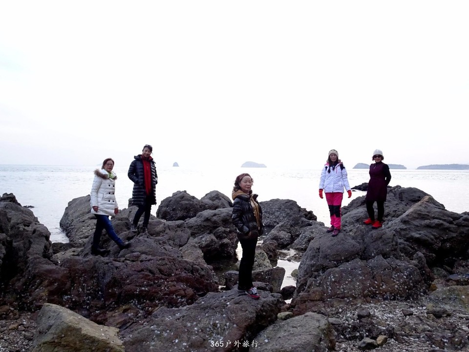 mmexport1547909791325