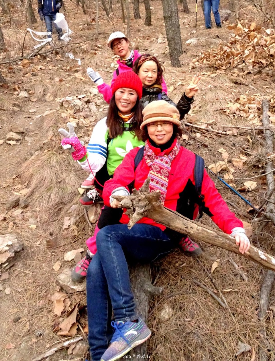 mmexport1548584710510