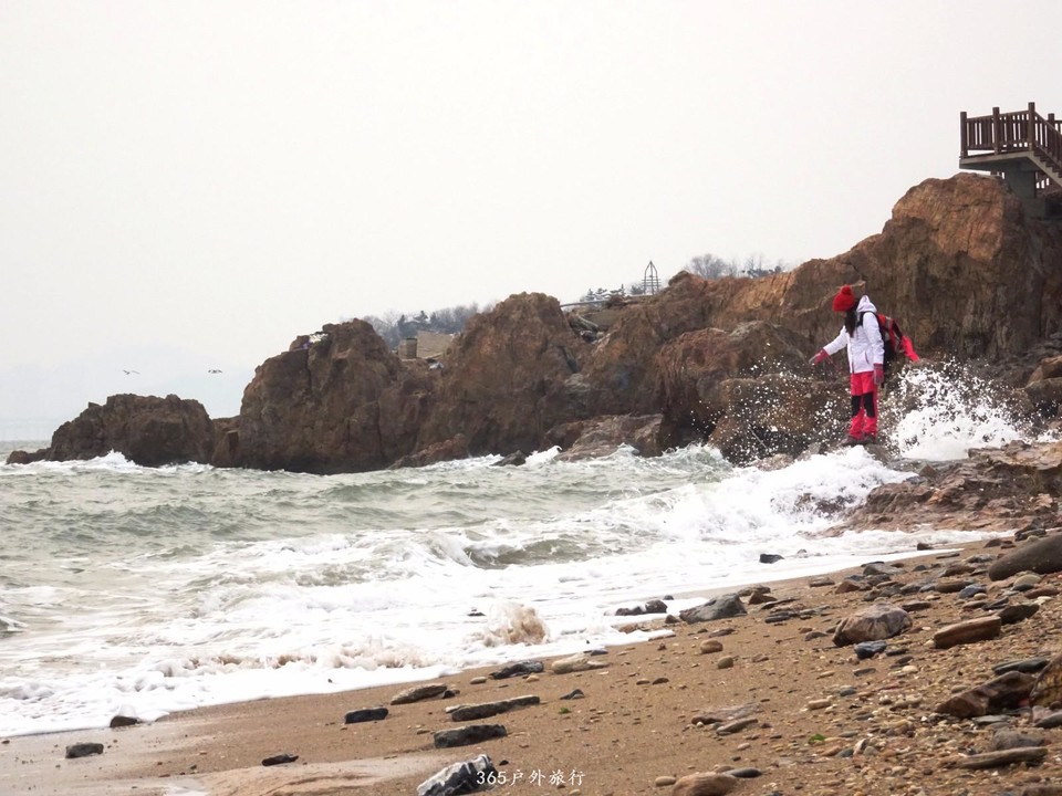 mmexport1548629747484