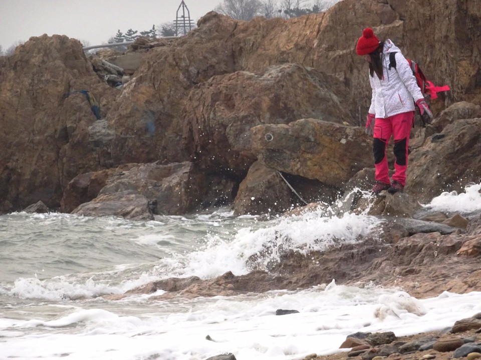 mmexport1548584796488