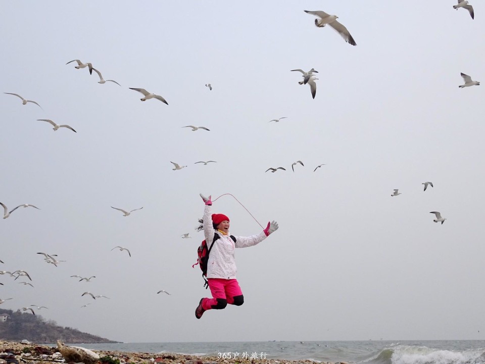 mmexport1548584878345