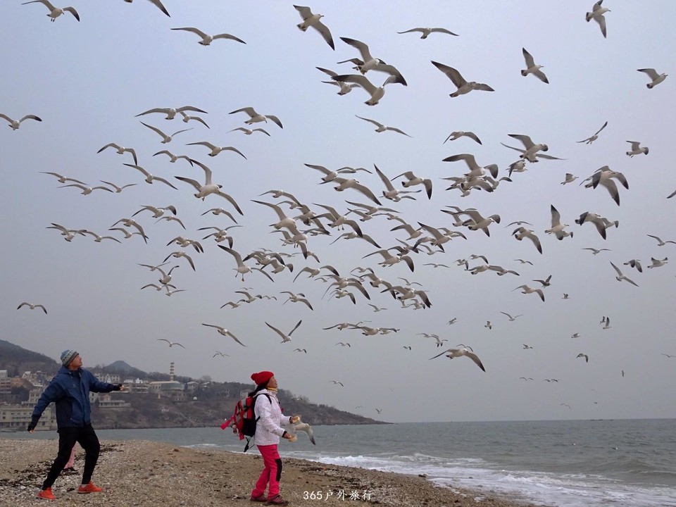 mmexport1548629781733