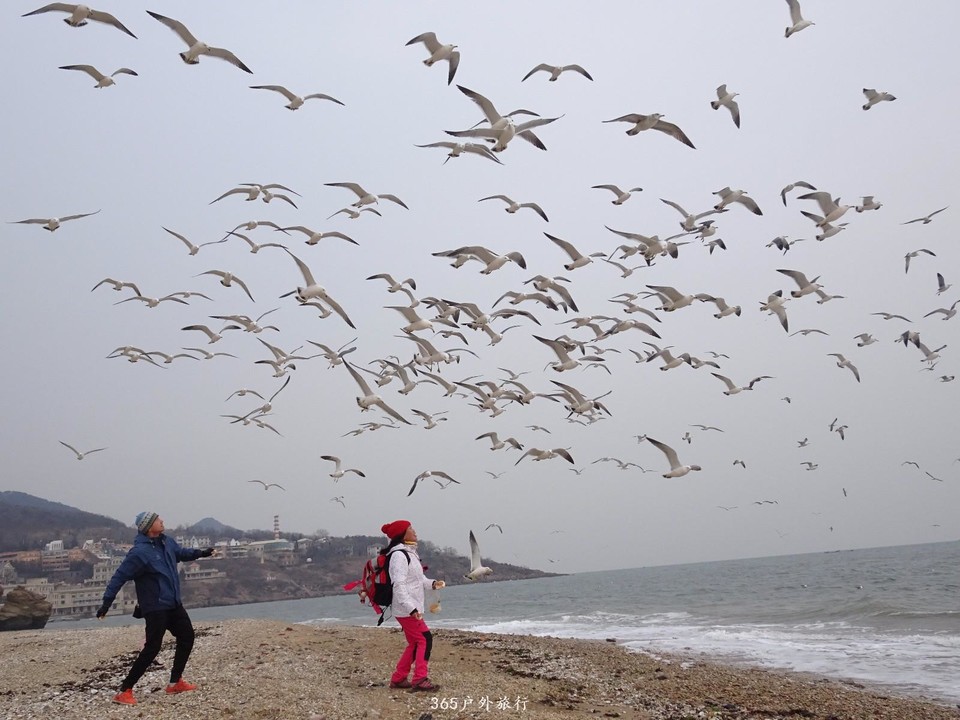 mmexport1548584672060