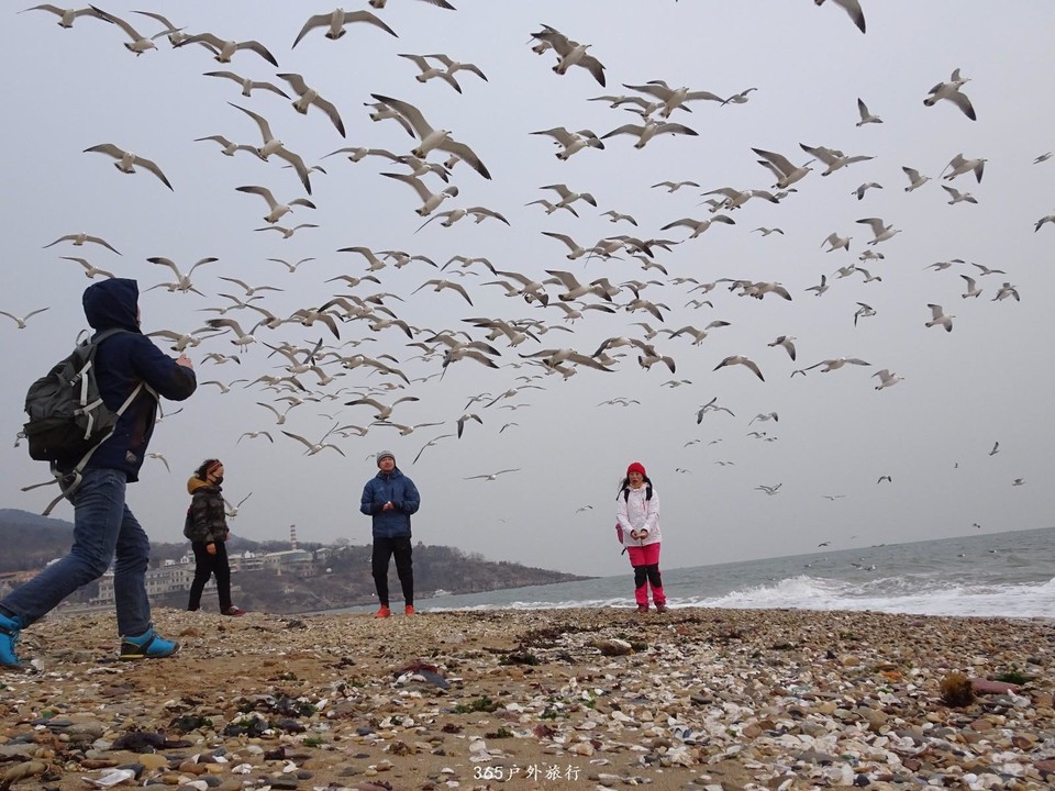 mmexport1548584838181