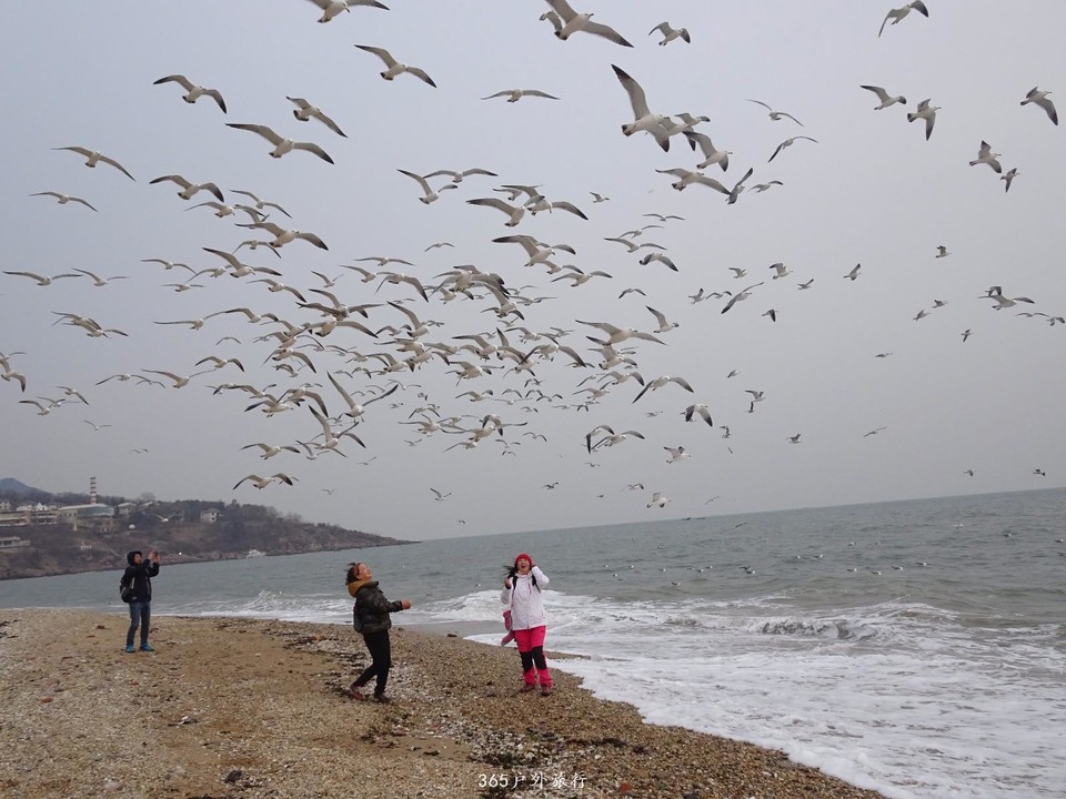 mmexport1548584864659