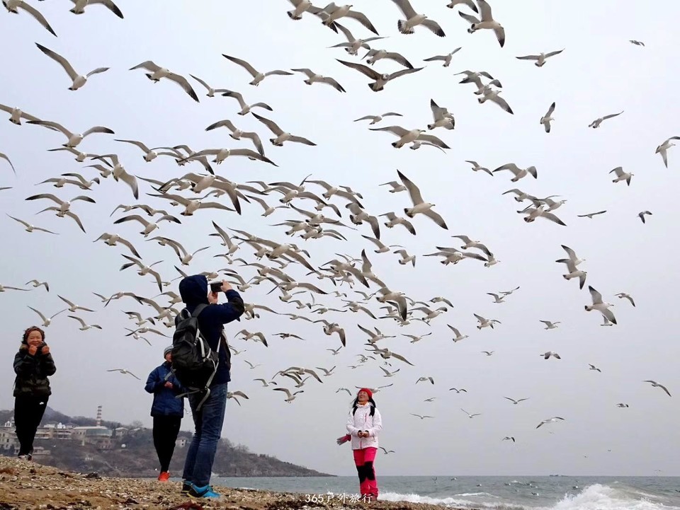 mmexport1548630981737