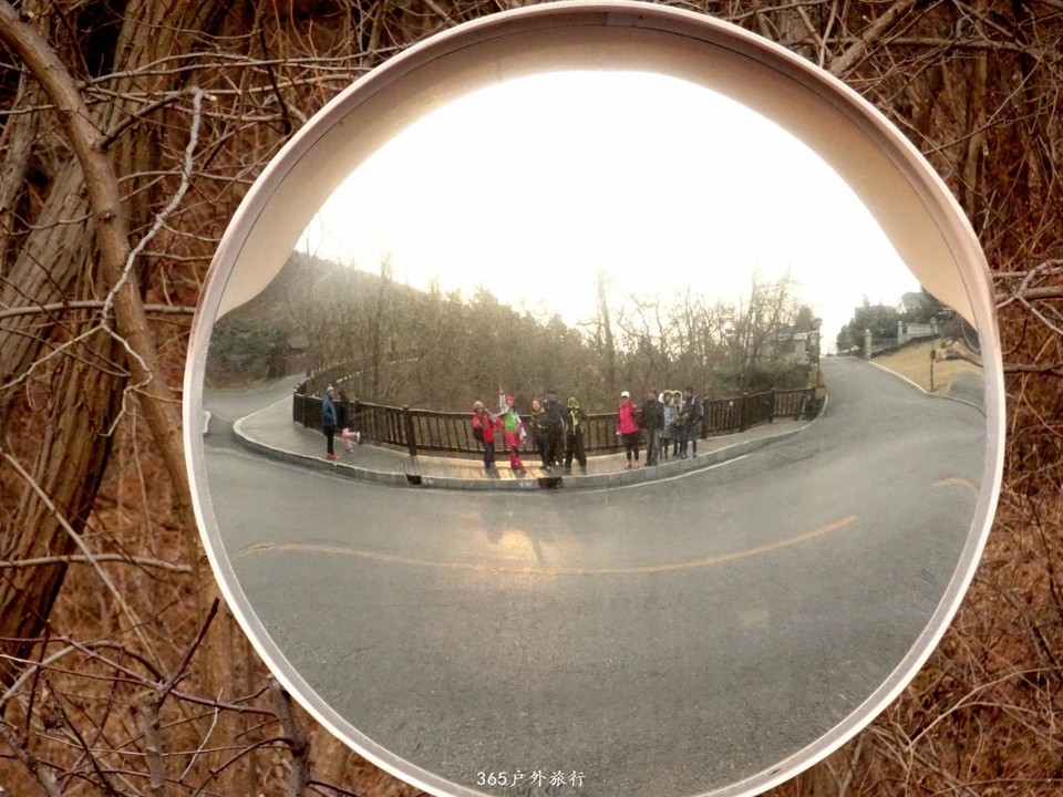 mmexport1548584685020