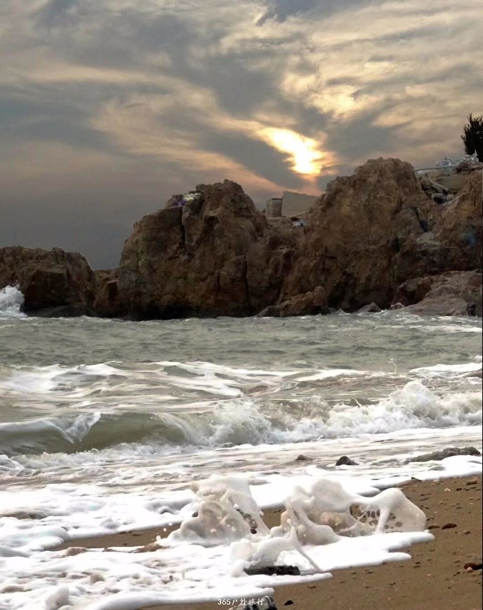 mmexport1548631024170