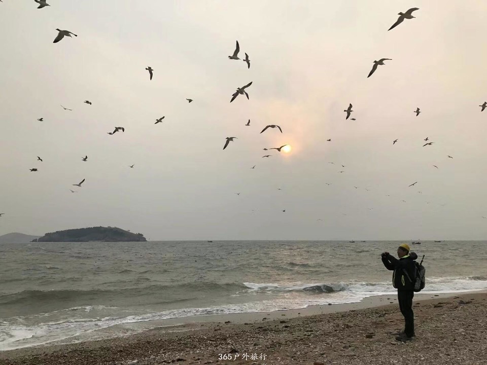 mmexport1548631012545