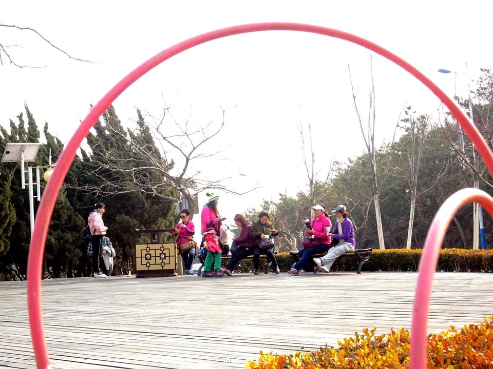 mmexport1551406588737