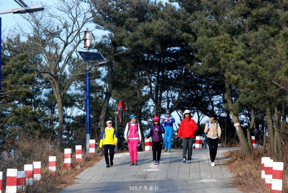 mmexport1552080078990