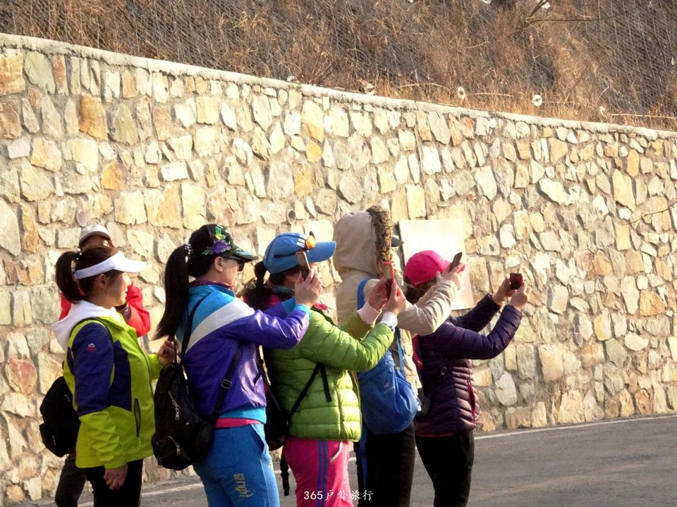 mmexport1552080829871