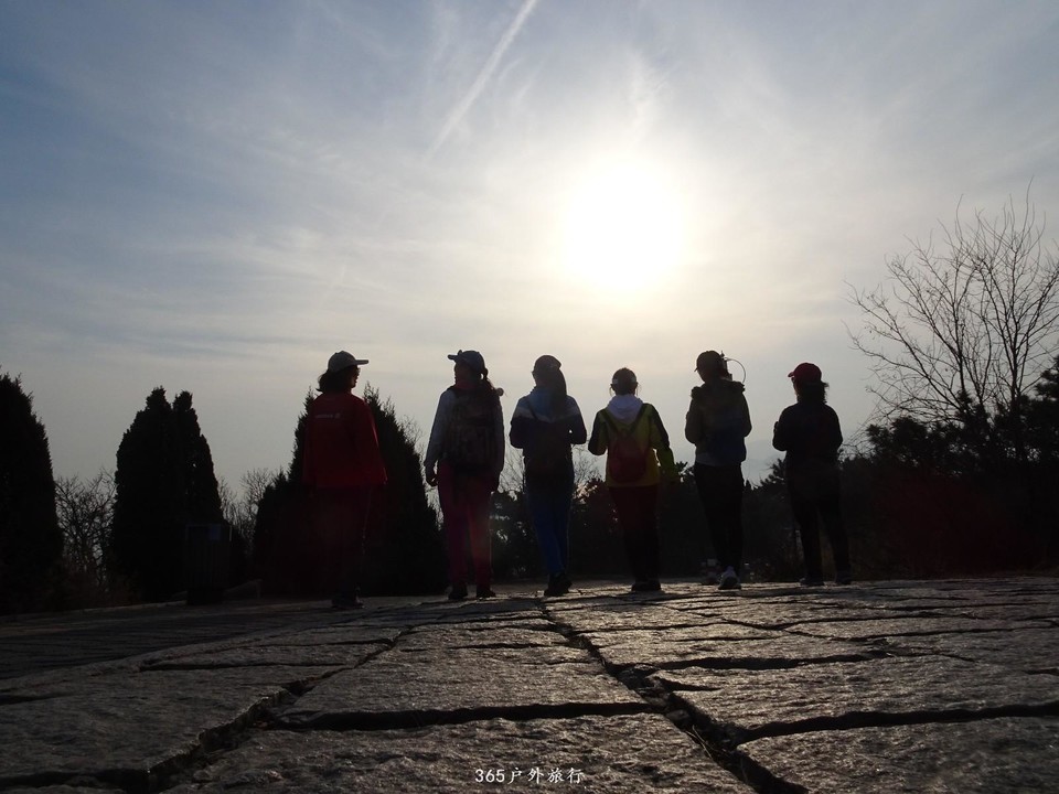 mmexport1552080785081