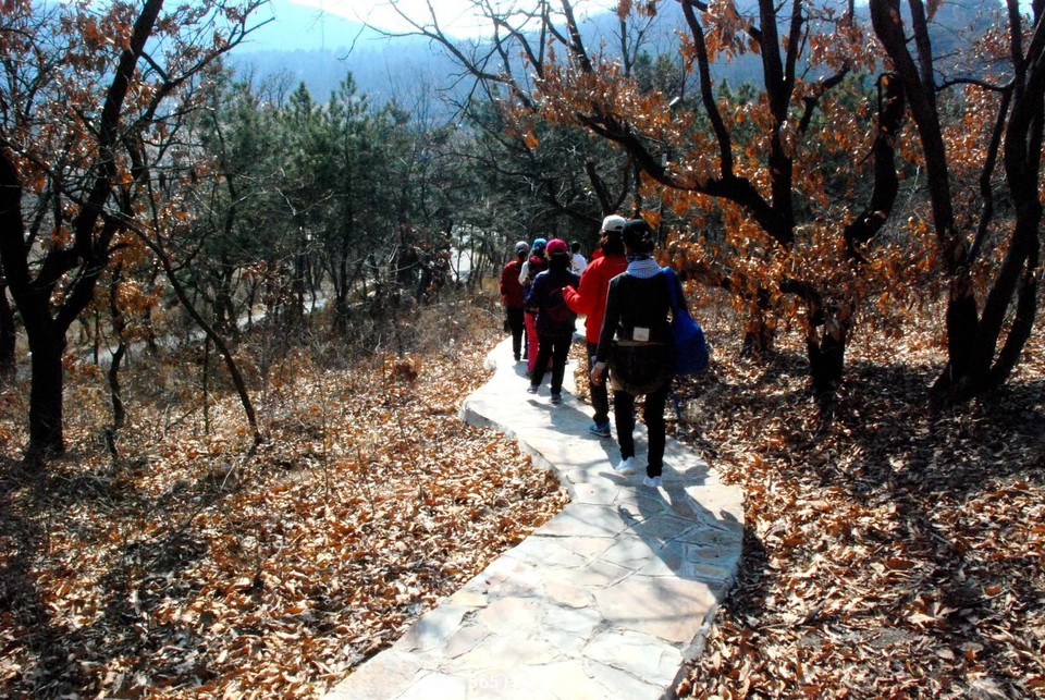 mmexport1552079951092