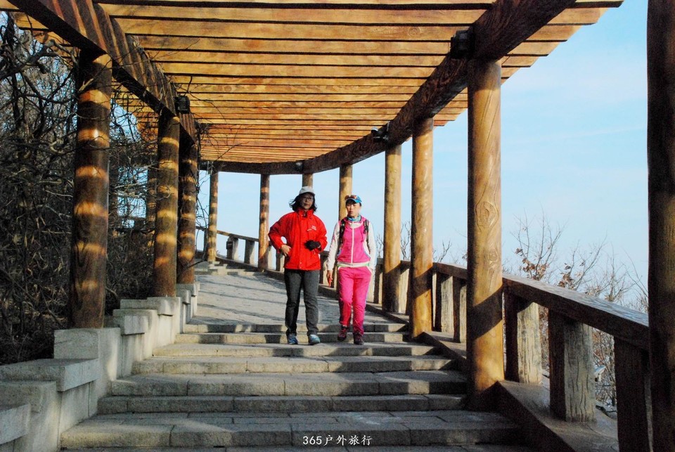 mmexport1552080005412